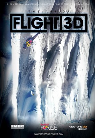 Искусство полета / The Art of Flight (2011/BDRip) 1080p