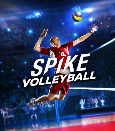 Spike Volleyball (2019/PC/Русский), Лицензия