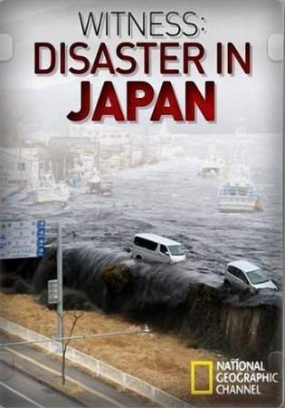 Свидетели японской катастрофы / Witness : Disaster in Japan (2011/HDTVRip) 1080p MediaClub