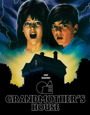 Бабушкин дом / Grandmother's House (1988/BDRemux) 1080р