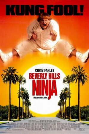 Ниндзя из Беверли Хиллз / Beverly Hills Ninja (1997/WEB-DL) 1080p