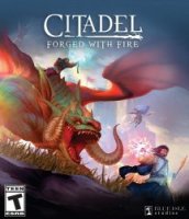 Citadel: Forged with Fire (2019) (RePack от SpaceX) PC